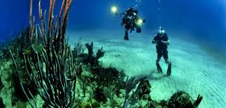 One Day Scuba Singapore 2