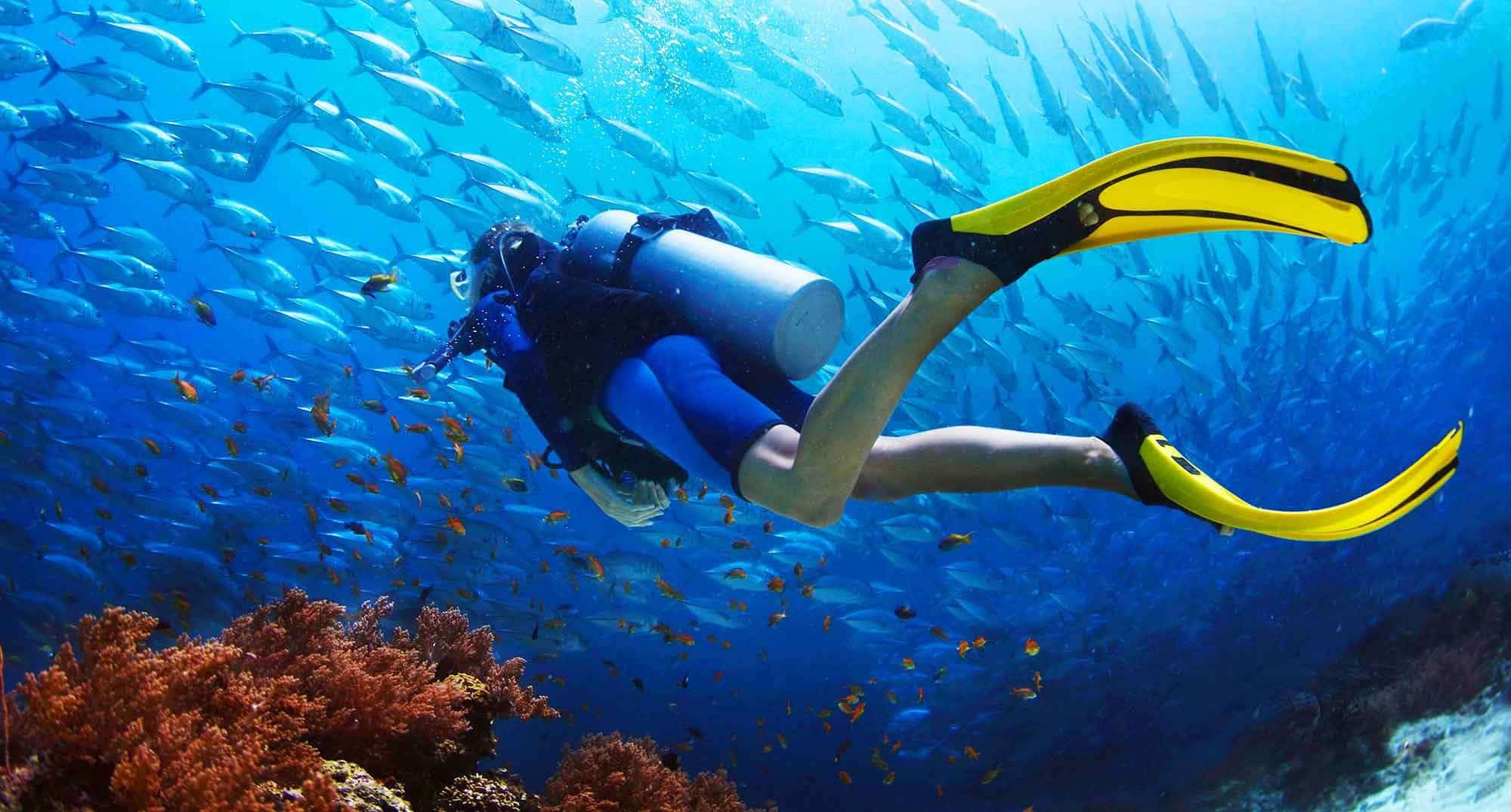 One Day Scuba Singapore 4