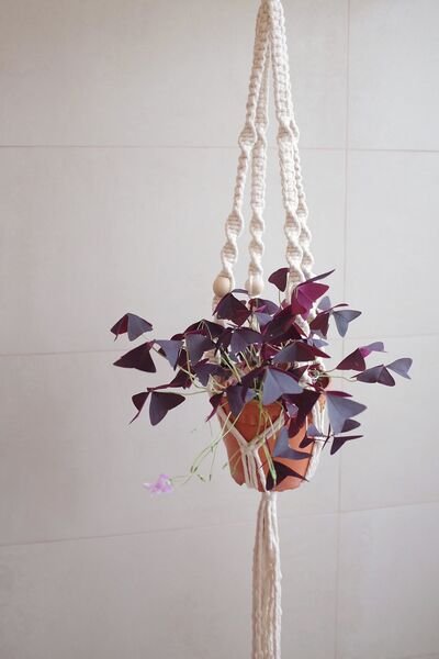 Macramé Plant Hanger Workshop